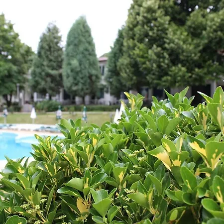 호텔 Zdravets - Free Parking 3*